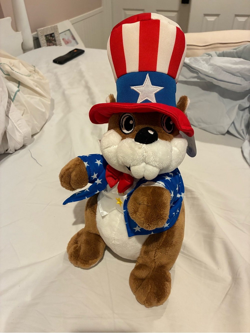 Patriotic Plush Dog Toy - Red, White & Blue
